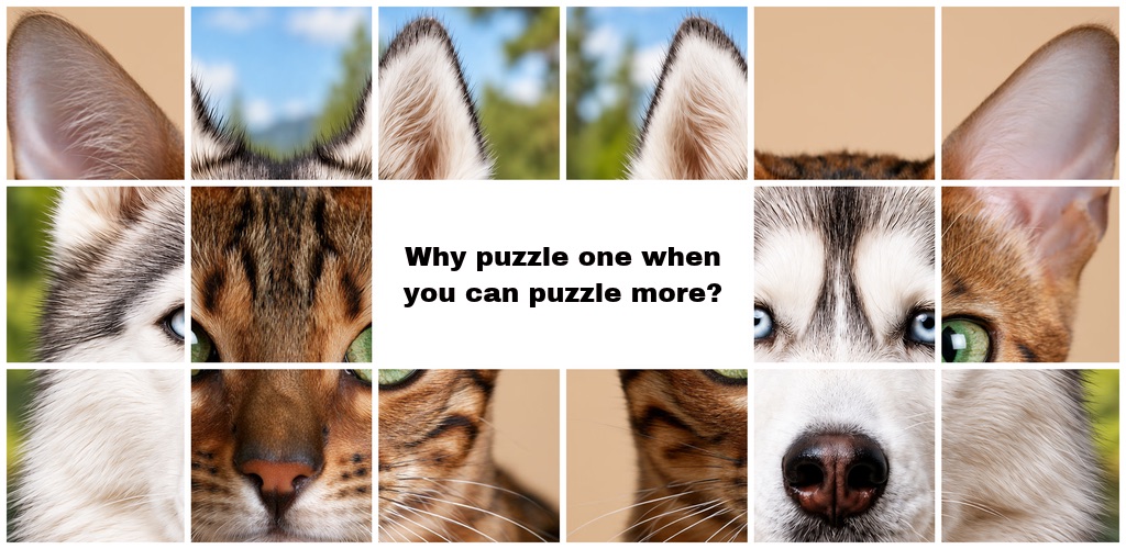 Multi Puzzle